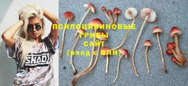 гашишное масло Беломорск