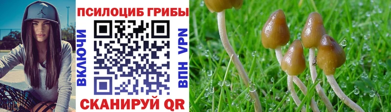 Галлюциногенные грибы ЛСД  Наро-Фоминск 
