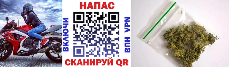 купить  сайты  Наро-Фоминск  Бошки марихуана конопля 